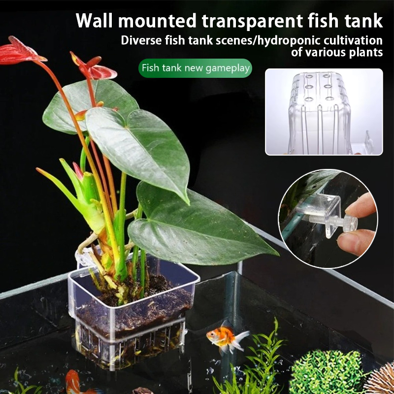 Planted Aquarium Materials - Aquarium Hanging Planter Cups Wall Mounted