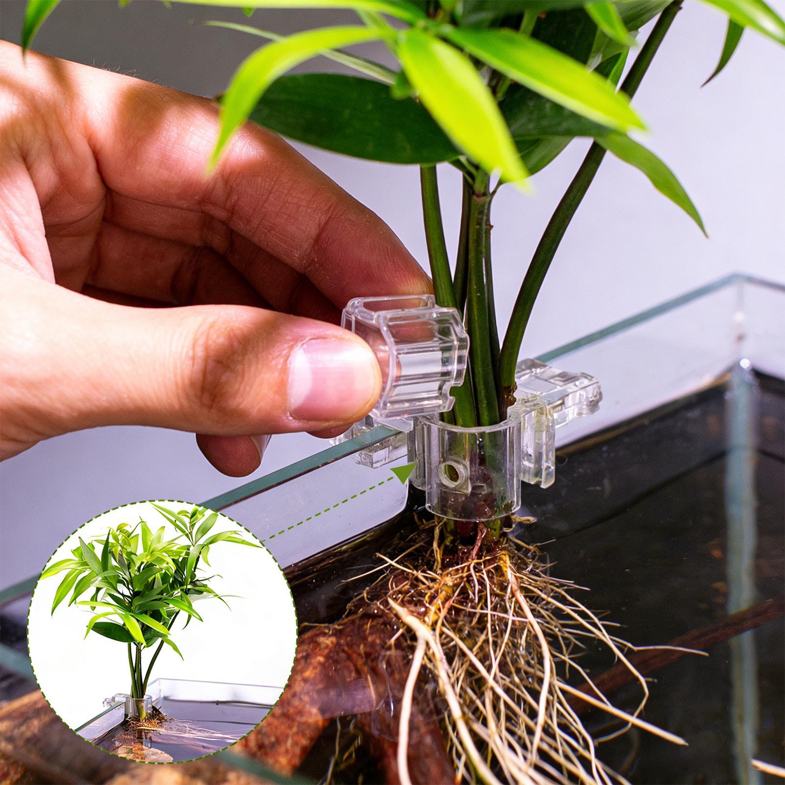 Planted Aquarium Materials - 6pcs Aquarium Plant Holders Clear Planting