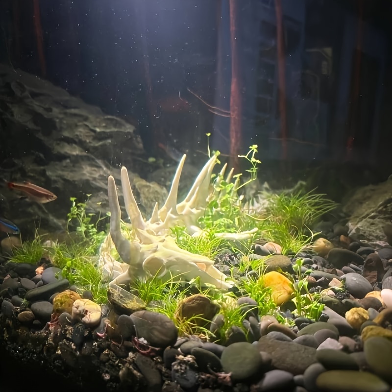 1pc Dragon-Shaped Fishbone Dec - огляд і ціна Aquarium Plant Root Tabs