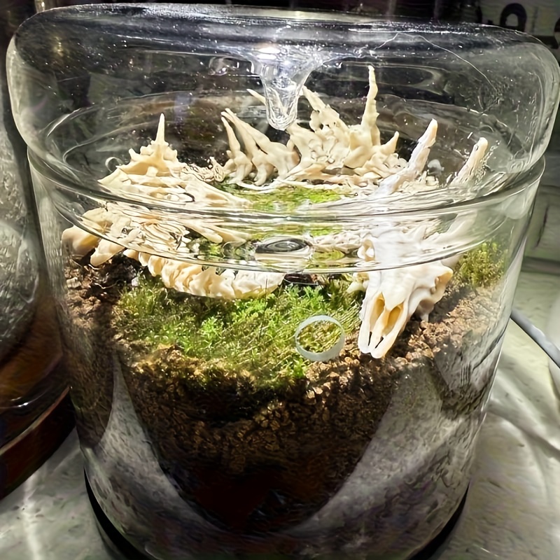 1pc Dragon-Shaped Fishbone Dec - огляд і ціна Aquarium Plant Root Tabs