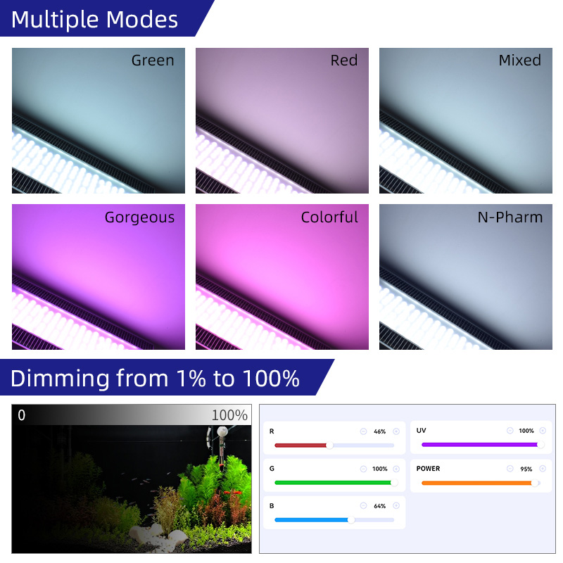 Week Aqua A430Pro LED Aquarium - огляд і ціна Planted Aquarium Aquascape