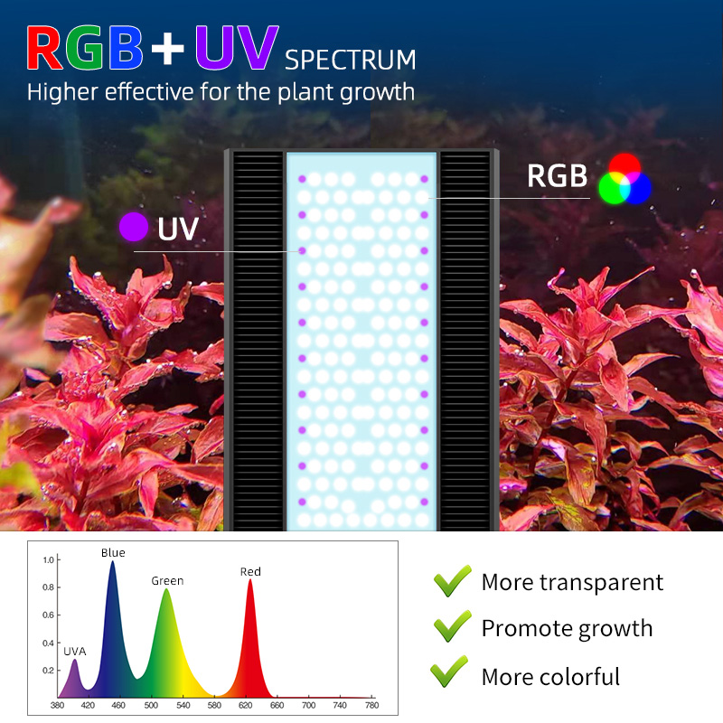 Week Aqua A430Pro LED Aquarium - огляд і ціна Planted Aquarium Aquascape