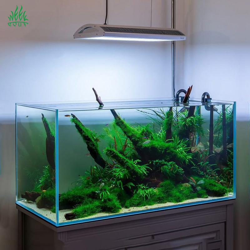 Week Aqua A430Pro LED Aquarium - огляд і ціна Planted Aquarium Aquascape
