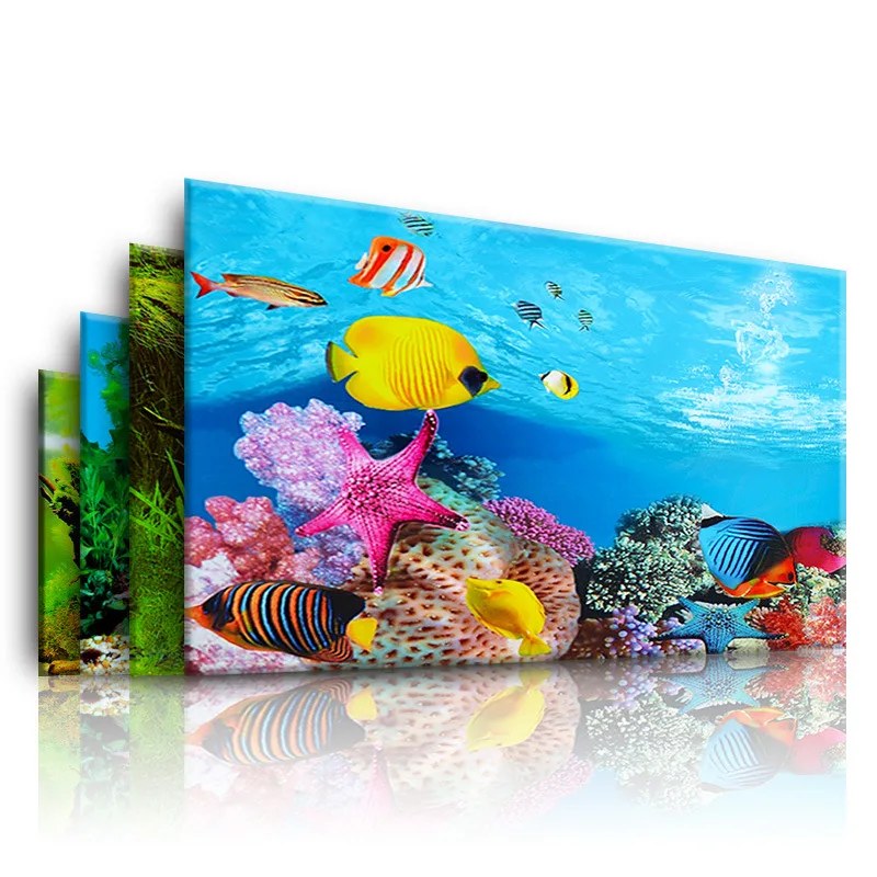 Background for Aquarium 3d  St - огляд і ціна Planted Aquarium Aquascape