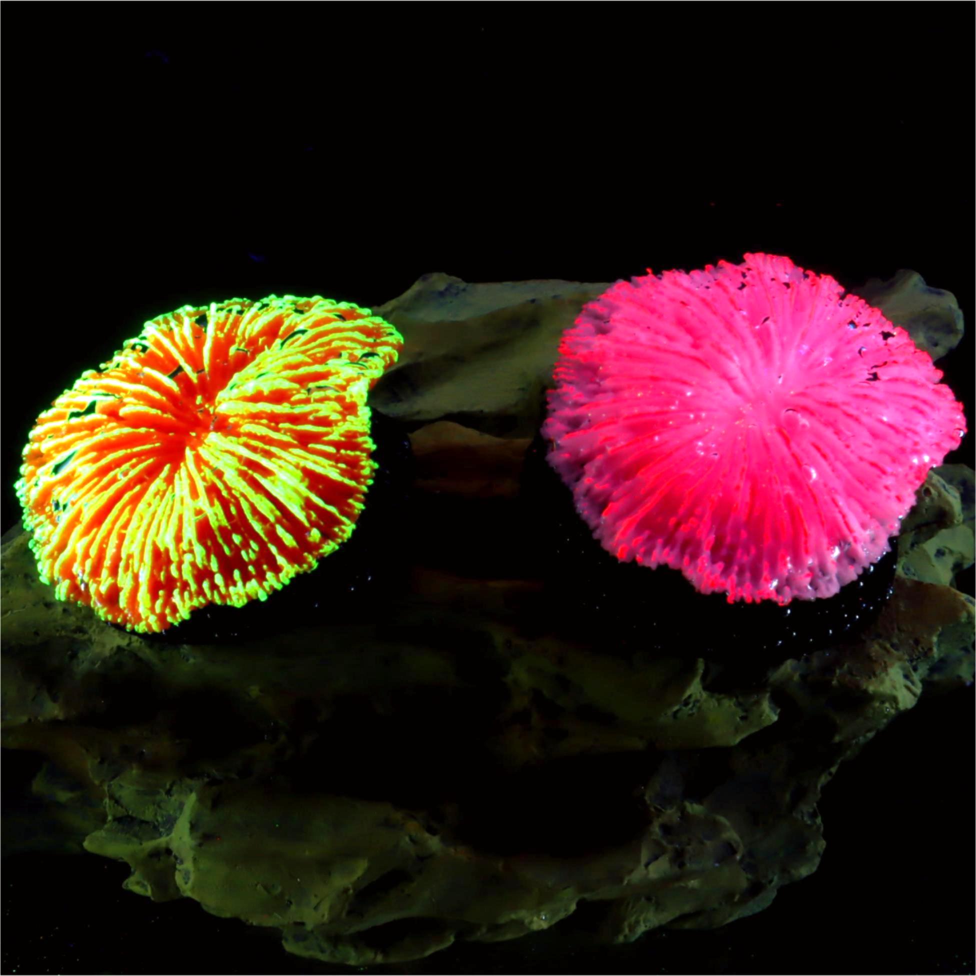 1 piece aquarium decoration sa - огляд і ціна Aquarium Planet