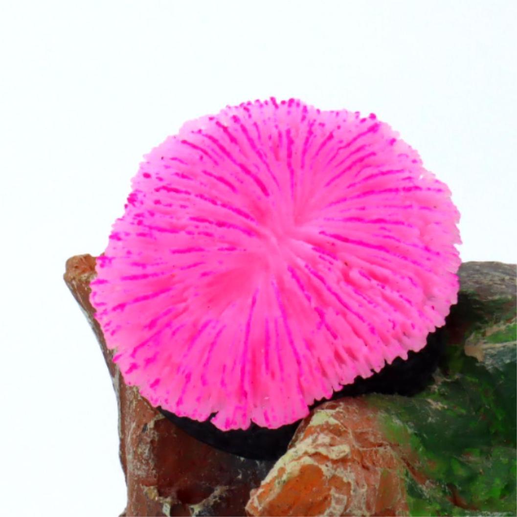 1 piece aquarium decoration sa - огляд і ціна Aquarium Planet