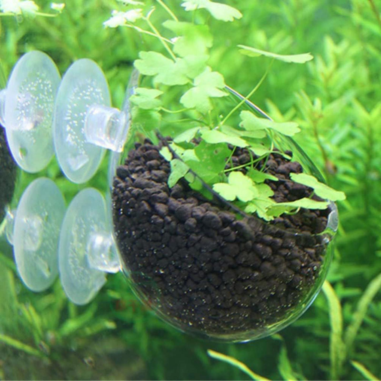 Aquarium Plant Holder Glass Aq - огляд і ціна Planted Aquarium Aquascape