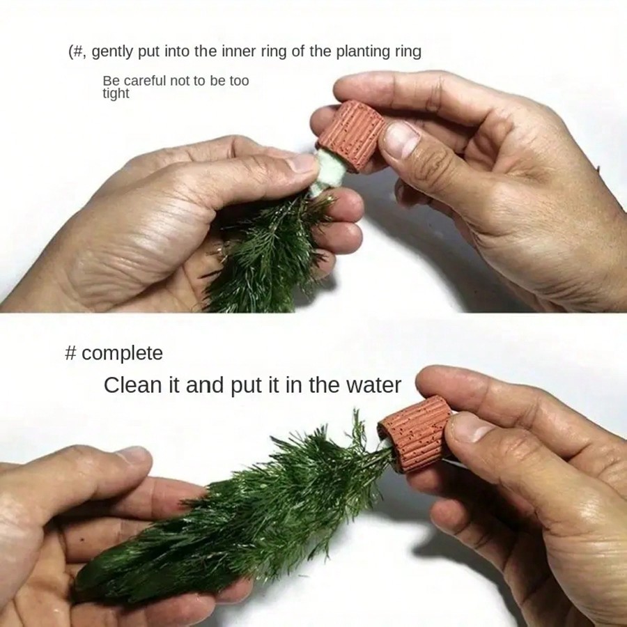 High   Quality Aquarium Plant  - огляд і ціна Planted Aquarium Aquascape