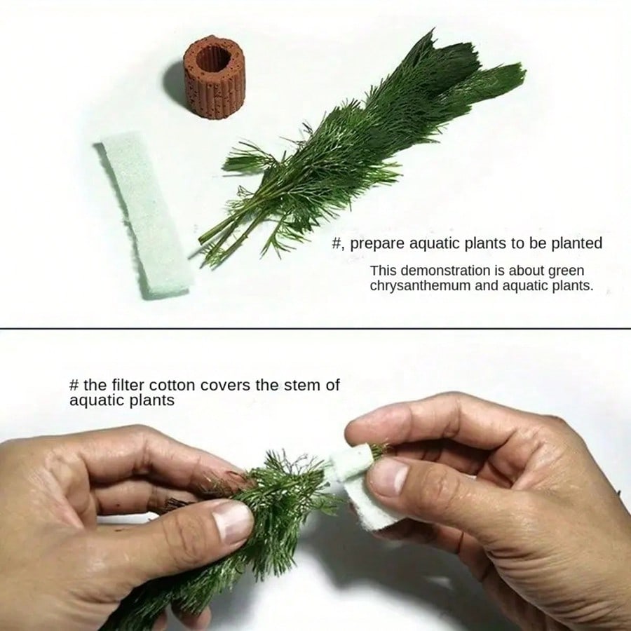 High   Quality Aquarium Plant  - огляд і ціна Planted Aquarium Aquascape