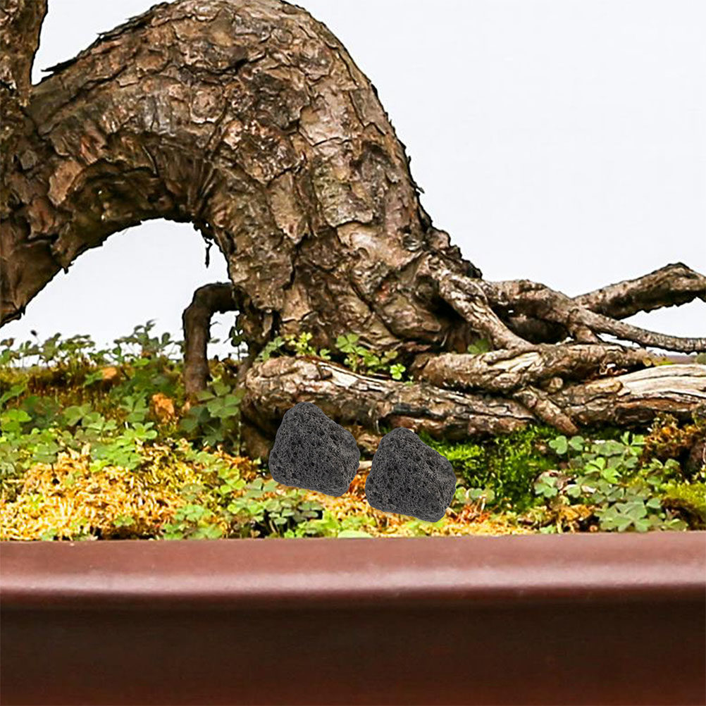 Fish Tank Volcanic Rocks Natur - огляд і ціна Aquarium Planted Tank Filter