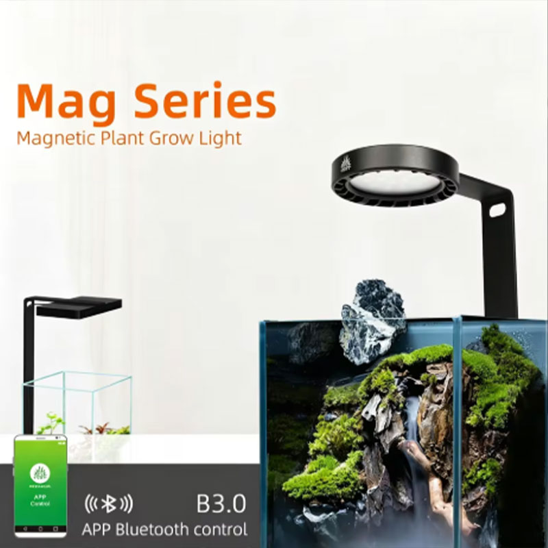 WEEK AQUA Mag Pro Mag Max Nano - огляд і ціна Planted Aquarium Aquascape