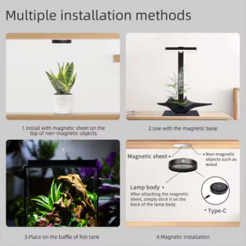 WEEK AQUA Mag Pro Mag Max Nano - огляд і ціна Planted Aquarium Aquascape