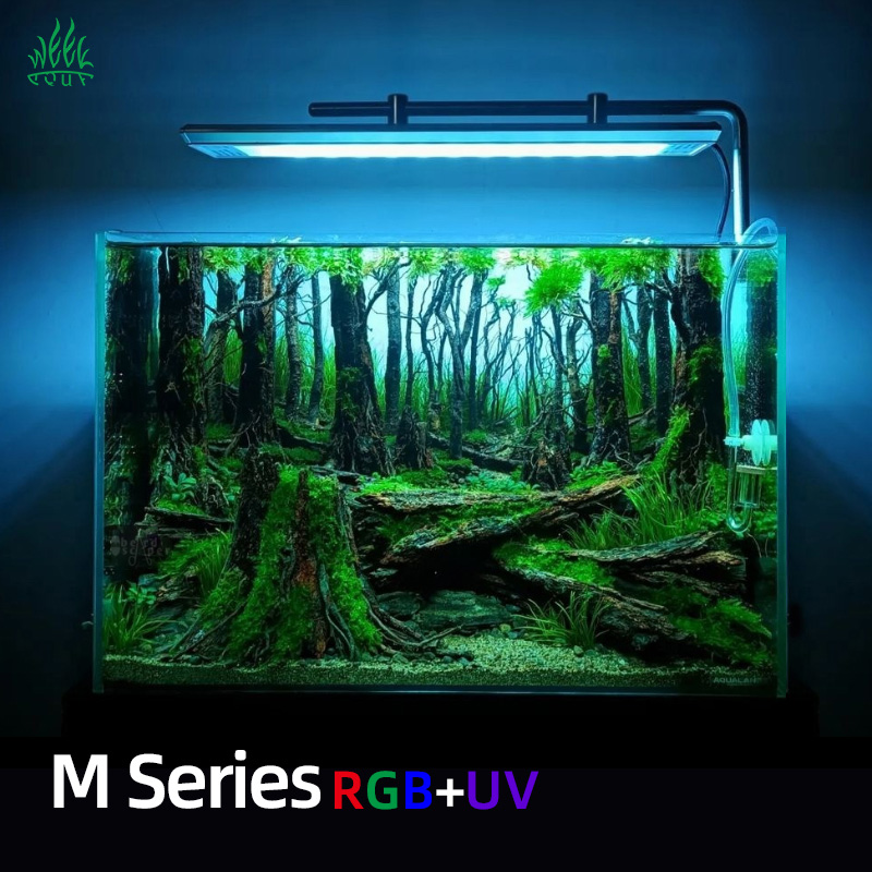 WEEKAQUA M300/M400/M450 D1 PRO - огляд і ціна Planted Aquarium Aquascape