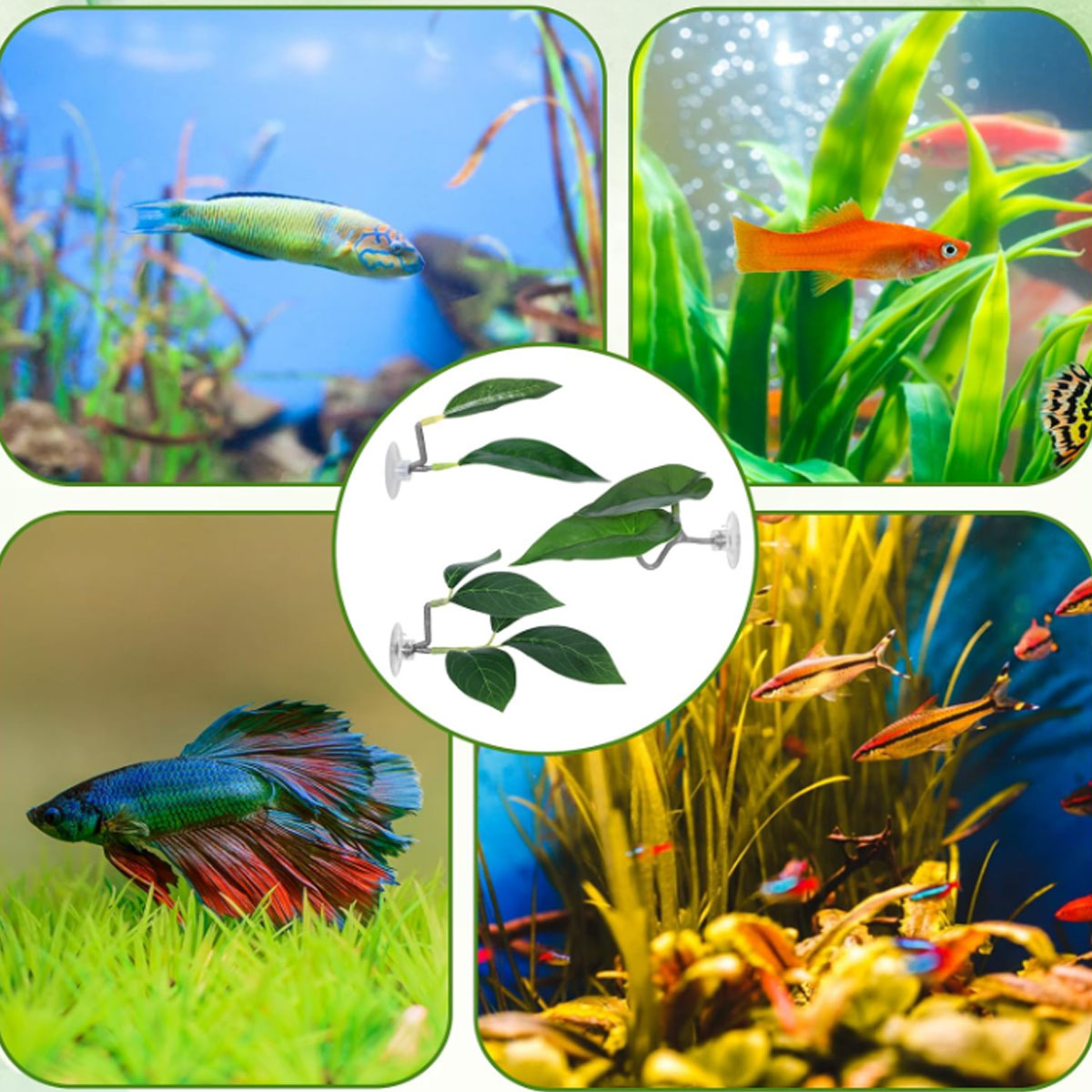 1 PC Betta Fish Hammock Soft A - огляд і ціна Planted Aquarium Materials