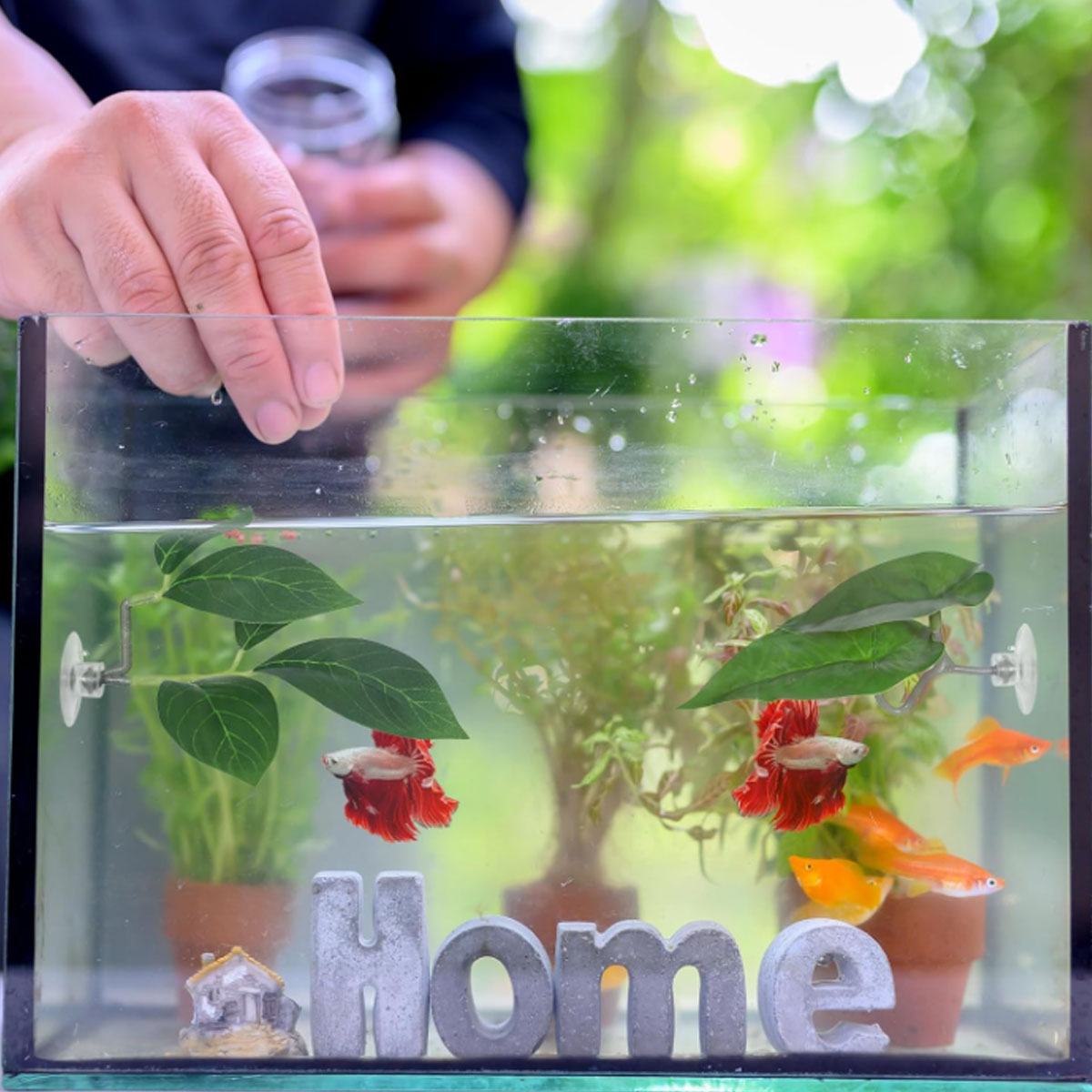 1 PC Betta Fish Hammock Soft A - огляд і ціна Planted Aquarium Materials