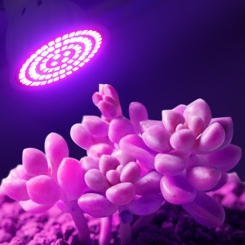 Led Grow Bulb 220V E27 60 80LE - огляд і ціна Aquarium Plant Root Tabs