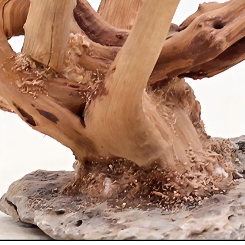 1PC Aquarium Landscaping Wood  - огляд і ціна Aquarium Plant Root Tabs
